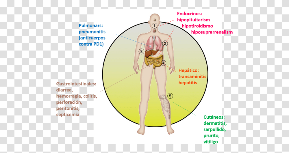 Pakuan University, Plot, Diagram, Person, Human Transparent Png