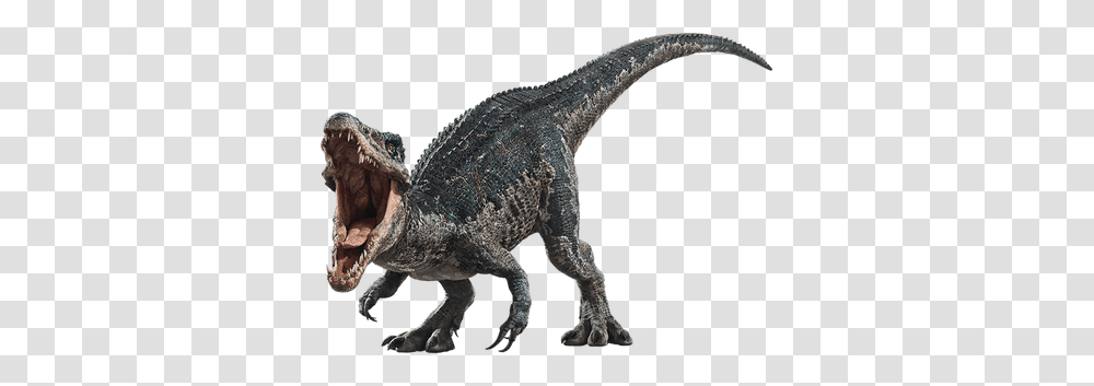 Paleobirding, T-Rex, Dinosaur, Reptile, Animal Transparent Png