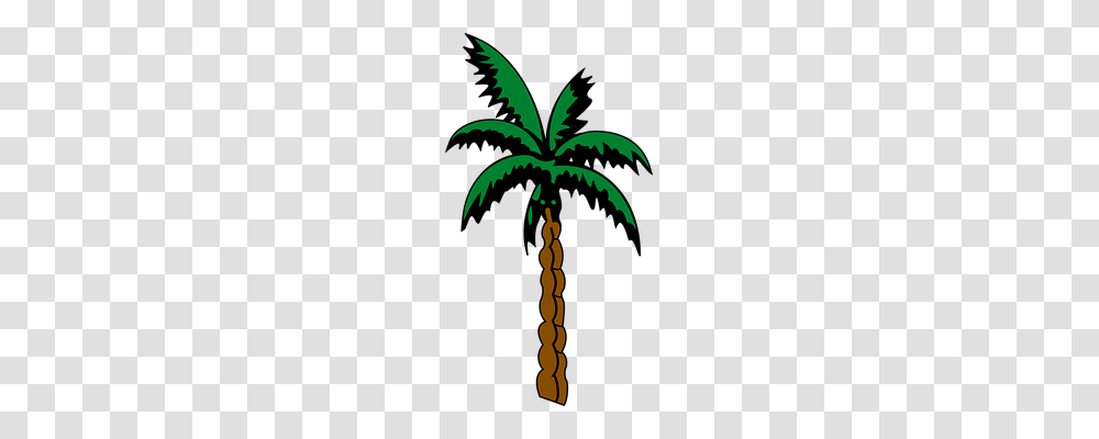 Palm Nature, Plant, Tree, Palm Tree Transparent Png