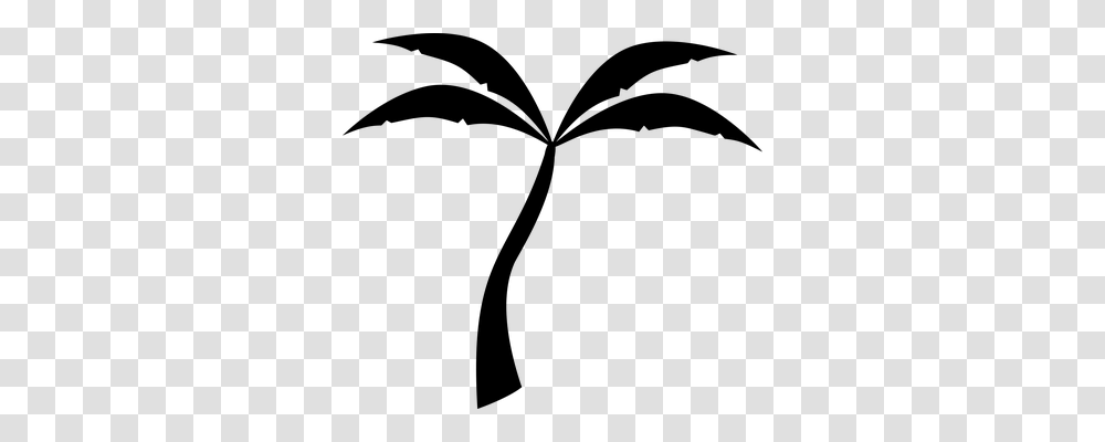 Palm Nature, Gray, World Of Warcraft Transparent Png