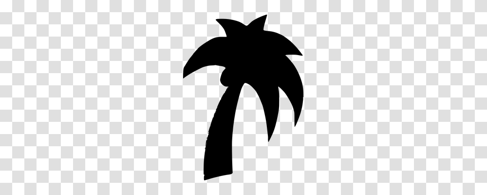 Palm Nature, Gray, World Of Warcraft Transparent Png