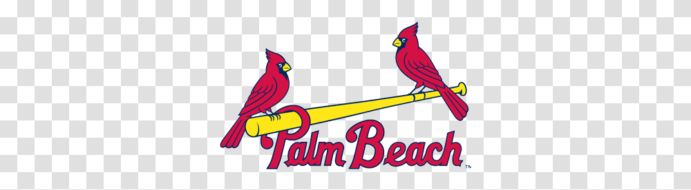 Palm Beach Cardinals Gopbcardinals Twitter Palm Beach Cardinals Logo, Bird, Animal, Finch, Flyer Transparent Png
