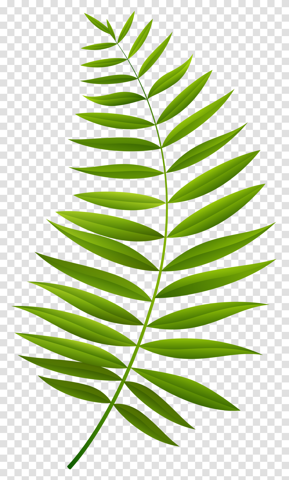 Palm Branch Clip Art, Green, Leaf, Plant, Rug Transparent Png