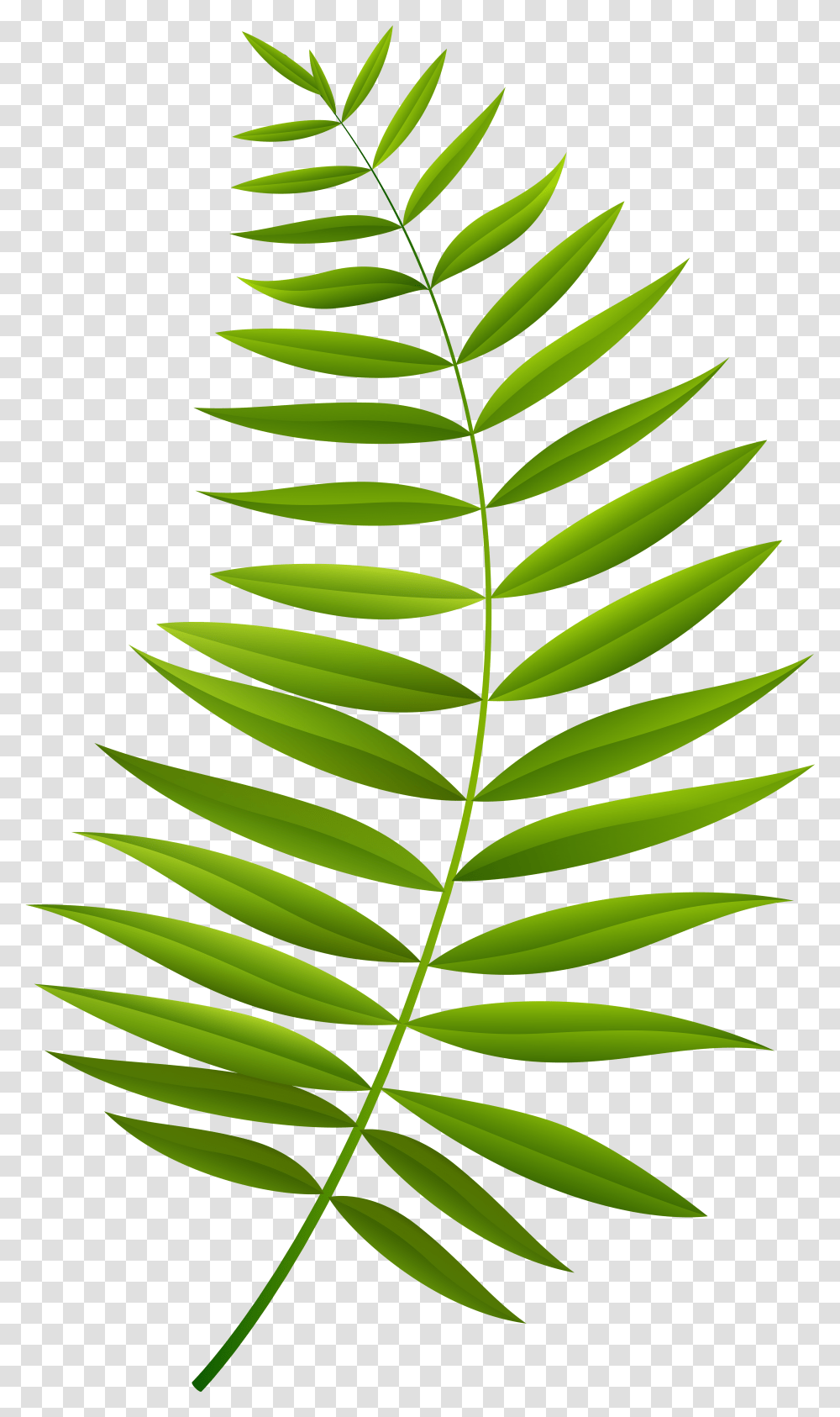 Palm Branch Clip Art Image Gallery Palm Leaf Cartoon, Green, Plant, Pineapple, Fruit Transparent Png