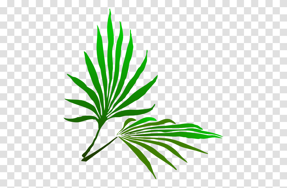Palm Branch Clip Art, Leaf, Plant, Green, Palm Tree Transparent Png