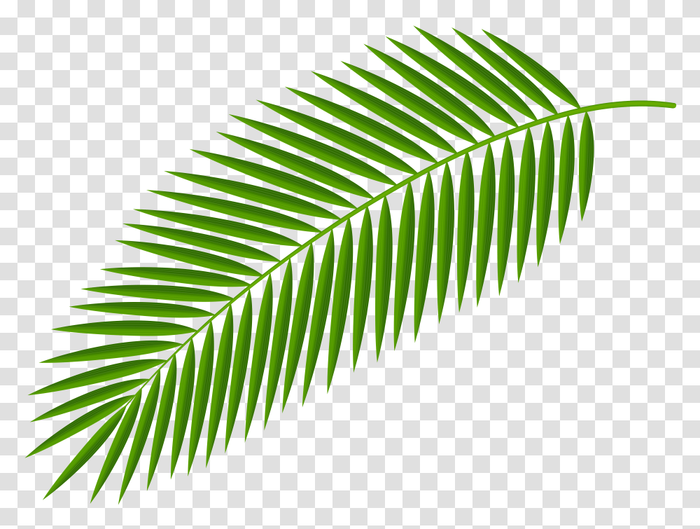 Palm Branch Clip Art Transparent Png