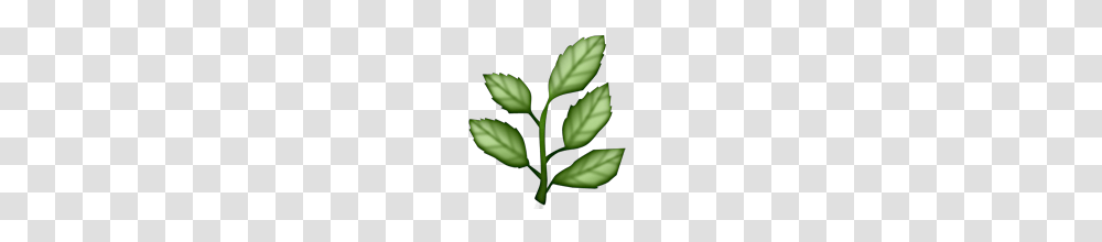 Palm Branch Emoji Meanings Emoji Stories, Leaf, Plant, Weed, Green Transparent Png
