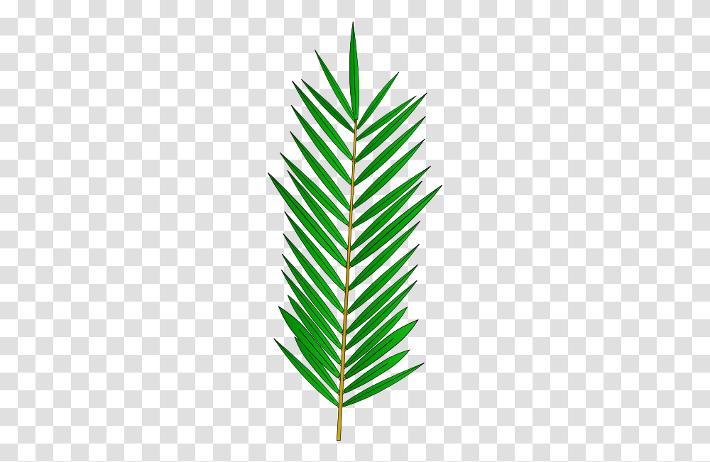 Palm Clip Art, Plant, Pineapple, Fruit, Food Transparent Png