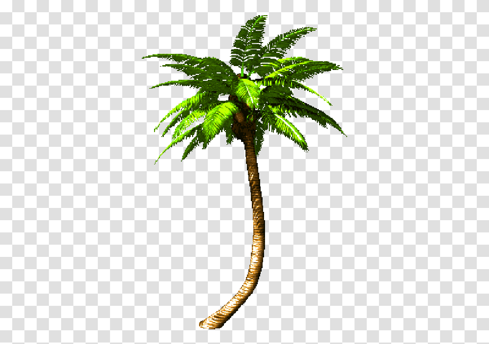 Palm Clipart Animation Free For Palm Tree Gif, Plant, Arecaceae, Leaf, Green Transparent Png