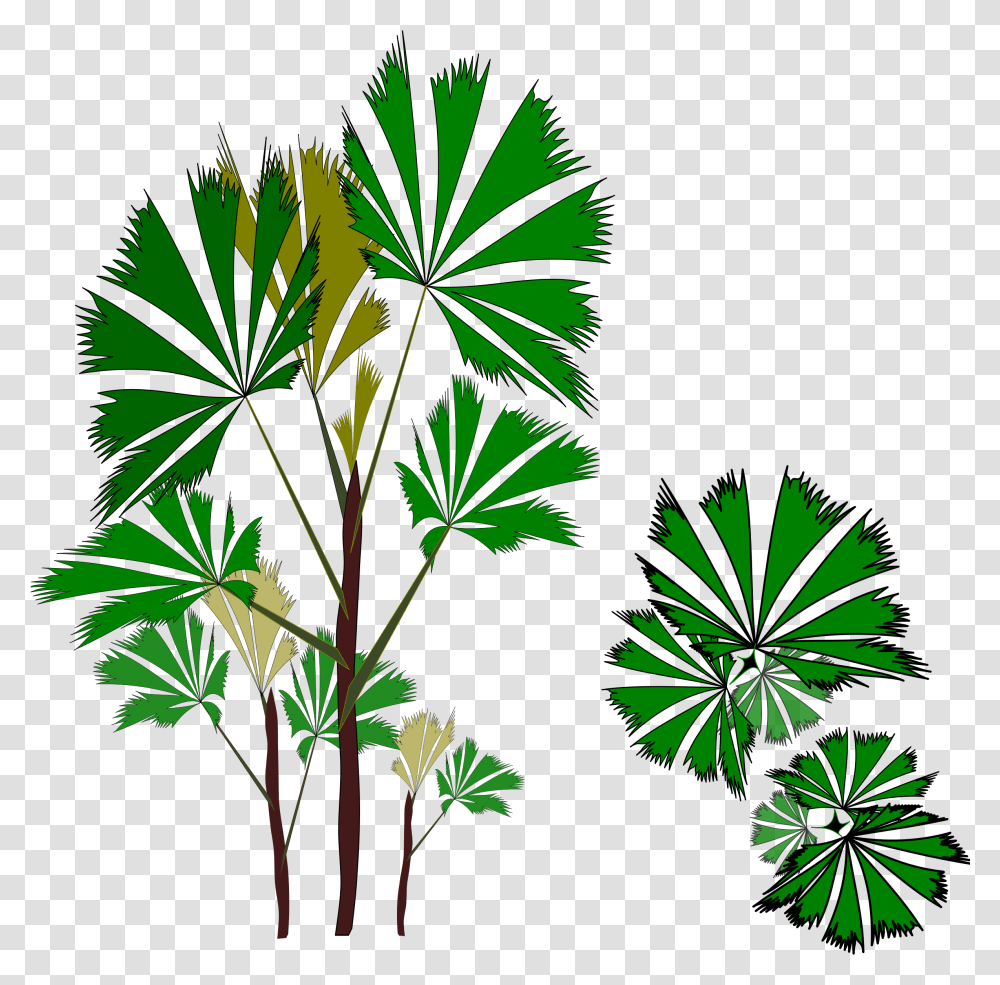 Palm Clipart Jungle Tree Free Free Evergreen Banner Clipart, Vegetation, Plant, Outdoors, Nature Transparent Png