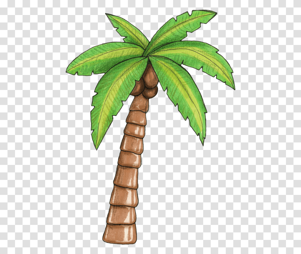 Palm Clipart Moana Free For Download Moana Palm Tree, Plant, Arecaceae, Leaf Transparent Png