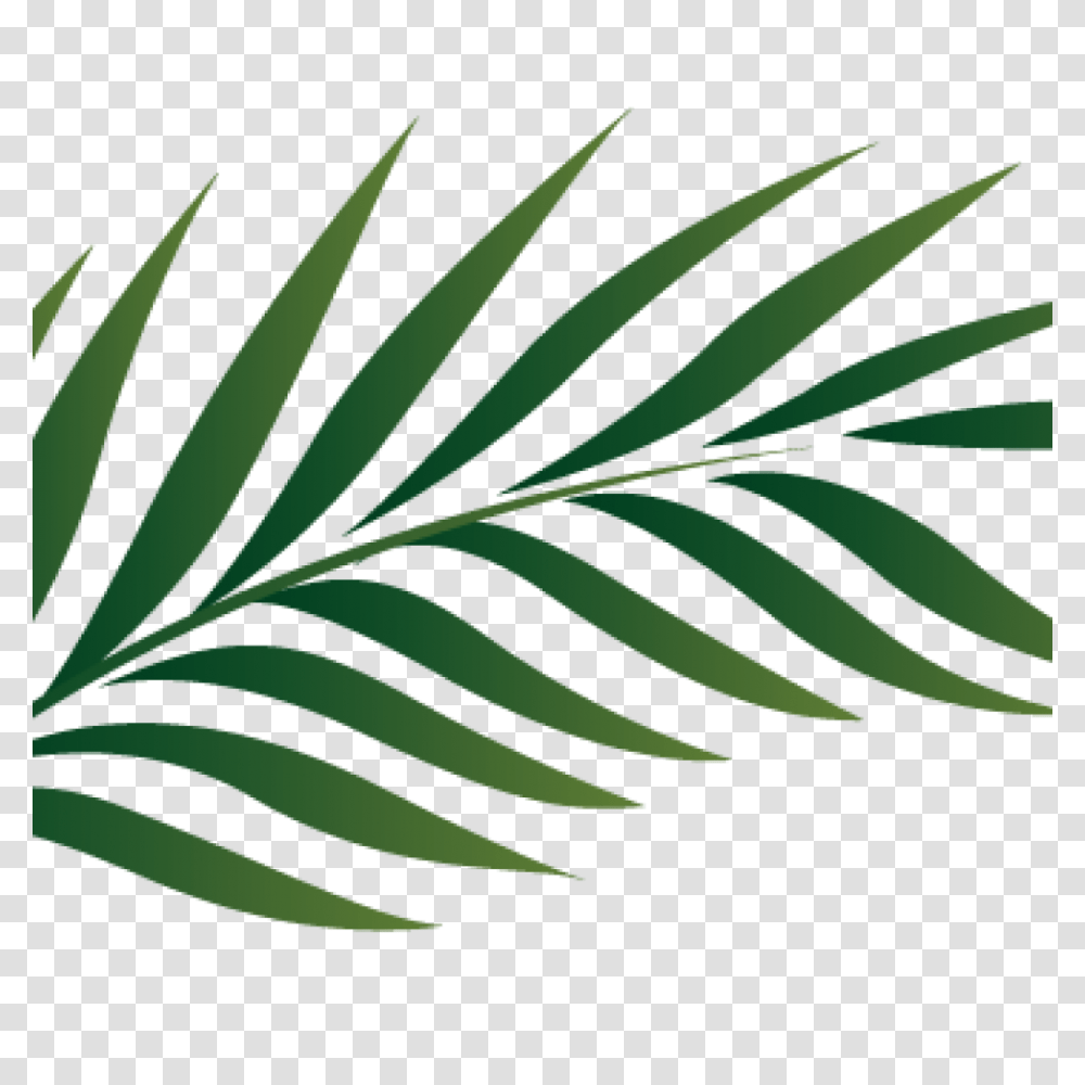 Palm Clipart Pencil Clipart House Clipart Online Download, Green, Plant, Leaf, Fern Transparent Png