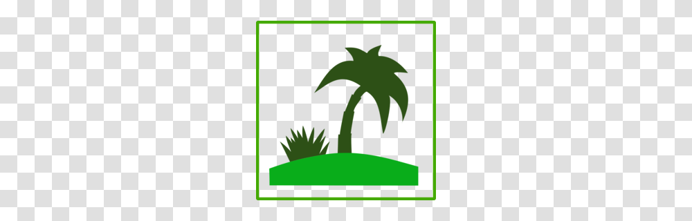 Palm Clipart, Plant, Leaf, Poster, Tree Transparent Png