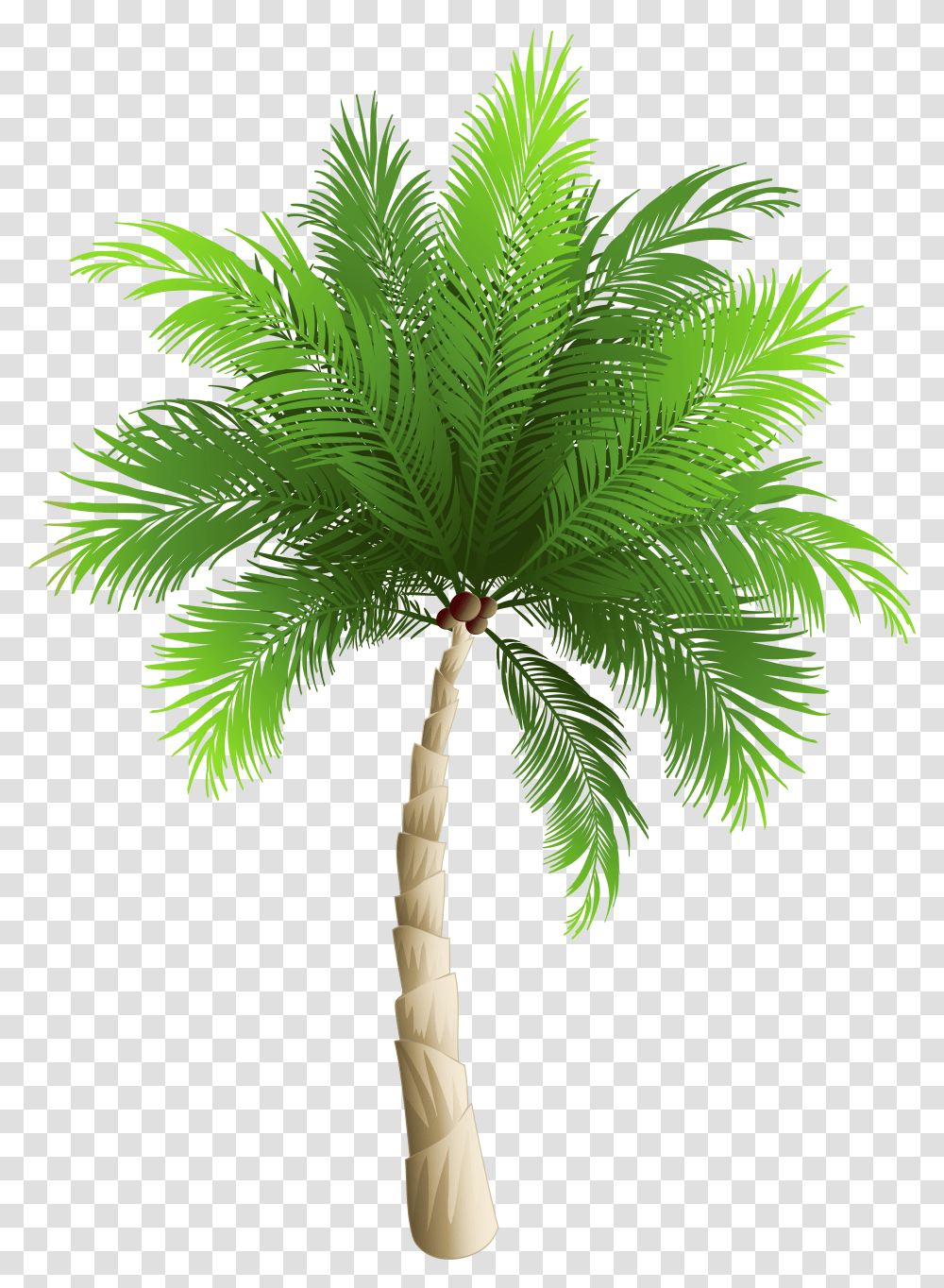 Palm Clipart Watercolor Free Tree Transparent Png