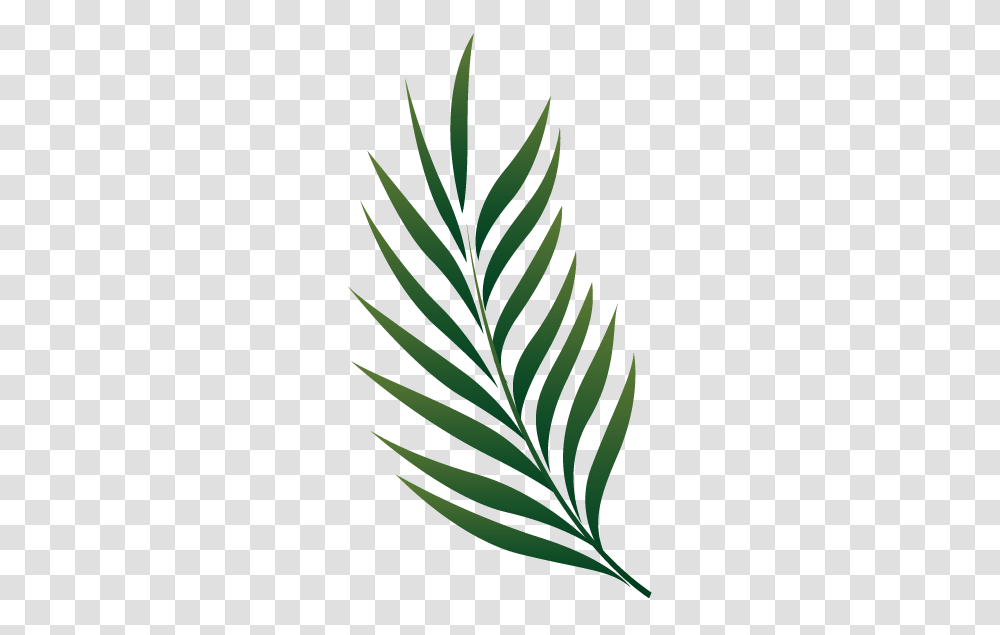 Palm Dibujo Tattoo, Leaf, Plant, Pattern, Bird Transparent Png