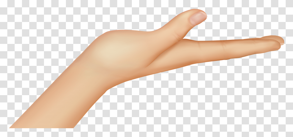 Palm Flat Of Hand Hand, Wrist, Person, Arm Transparent Png
