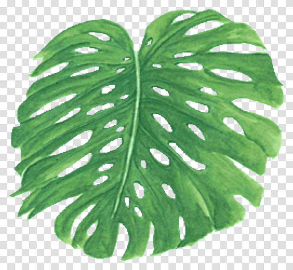 Palm Frawn Clipart Palm Trees, Leaf, Plant, Grass, Potted Plant Transparent Png