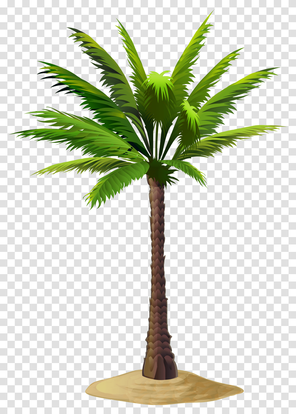 Palm Free Clip Art Transparent Png