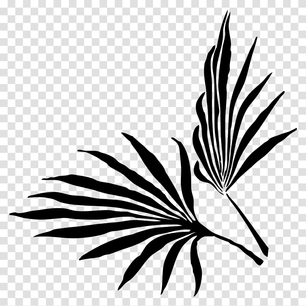 Palm Frond Clip Art, Gray, World Of Warcraft Transparent Png