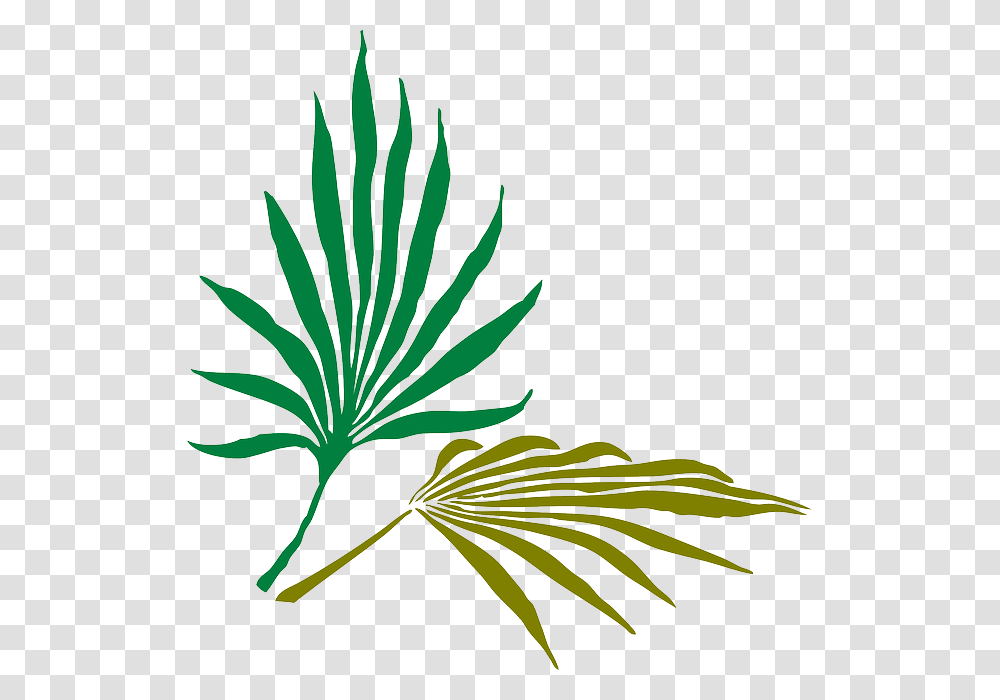 Palm Frond Clip Art, Green, Plant, Leaf, Fern Transparent Png