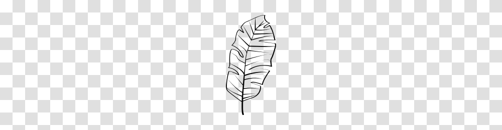 Palm Frond Icons Noun Project, Gray, World Of Warcraft Transparent Png