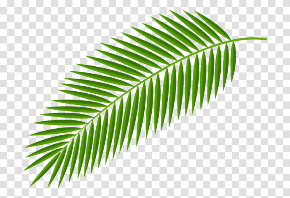 Palm Fronds Clipart Palm Tree Leaf, Plant, Green, Veins, Brush Transparent Png