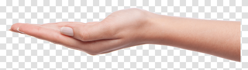 Palm Hands Hand Image Free Palm Of Hand, Wrist, Person, Human, Skin Transparent Png