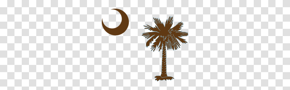 Palm Images Icon Cliparts, Nature, Outdoors, Tree, Plant Transparent Png