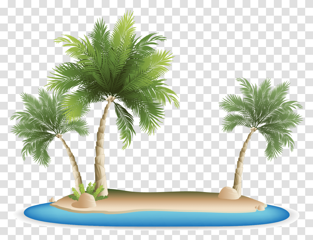 Palm Islands Tropical Islands Resort Clip Art Palm Tree Beach, Plant, Arecaceae, Annonaceae Transparent Png