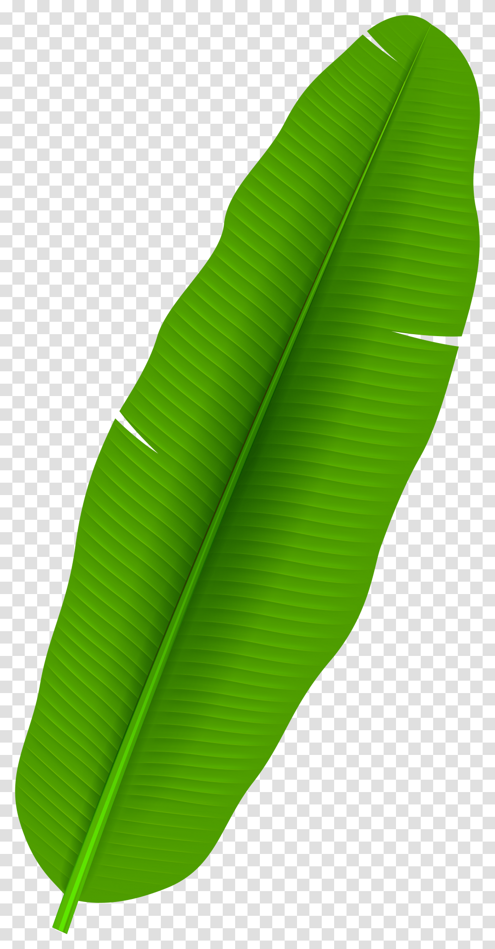 Palm Leaf Clip Art Banana Leaf Clipart Transparent Png