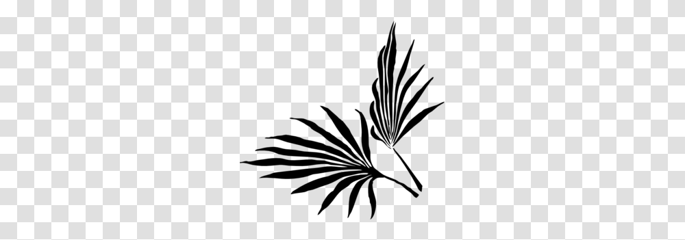 Palm Leaf Clip Art, Gray, World Of Warcraft Transparent Png