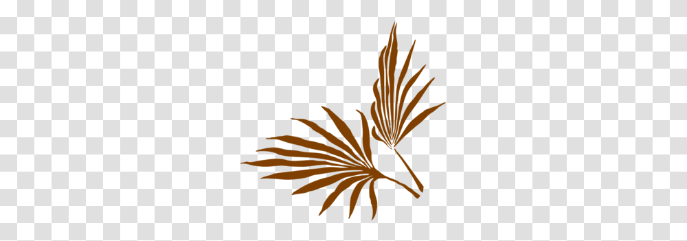 Palm Leaf Clip Art, Nature, Outdoors, Eagle Transparent Png