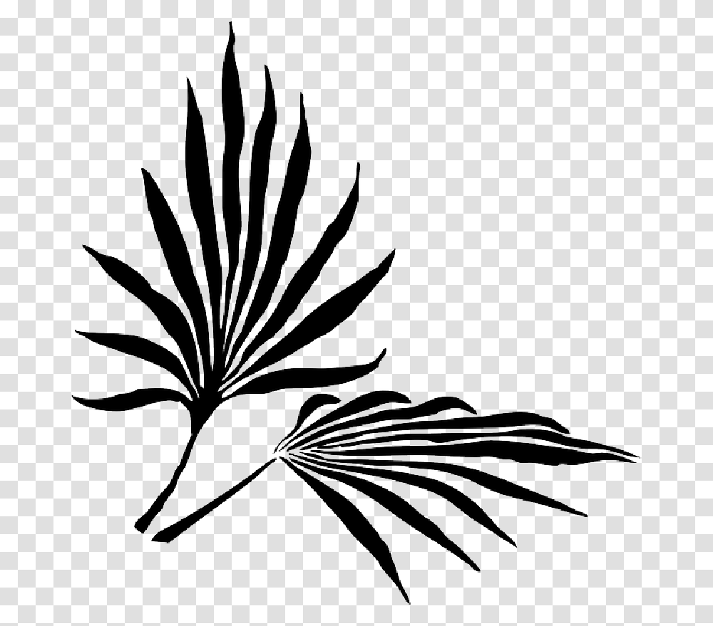Palm Leaf Clip Art, Stencil, Floral Design, Pattern Transparent Png