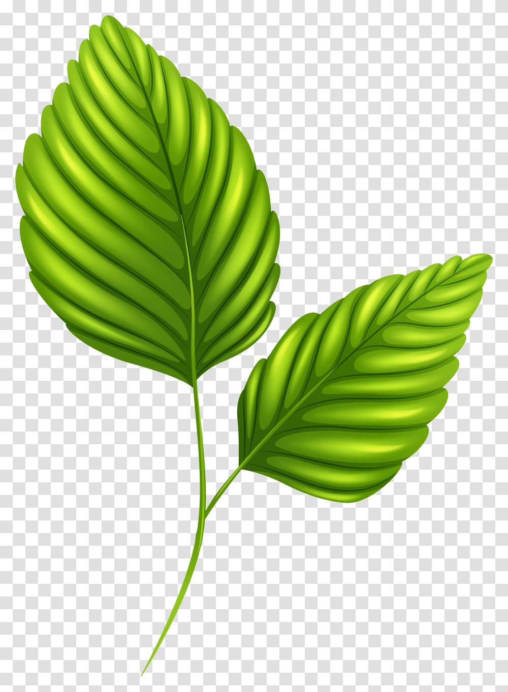 Palm Leaf Clip Art Two Green Leaves Clipart, Plant, Banana, Fruit, Food Transparent Png