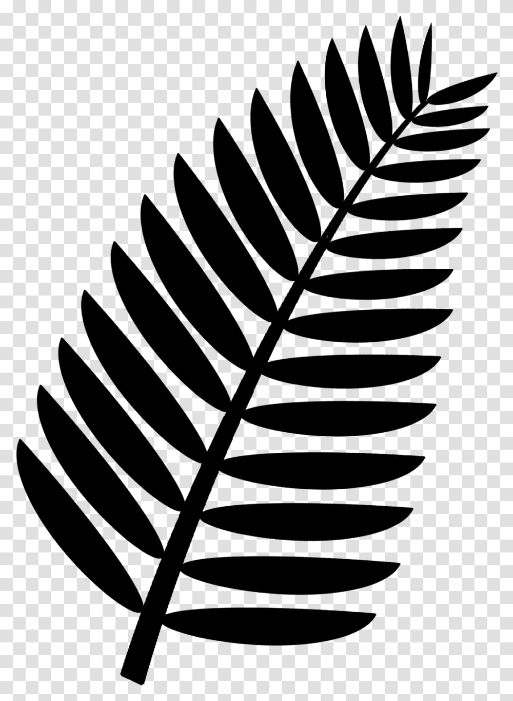 Palm Leaf Clipart Black And White, Astronomy, Outer Space, Universe, Outdoors Transparent Png