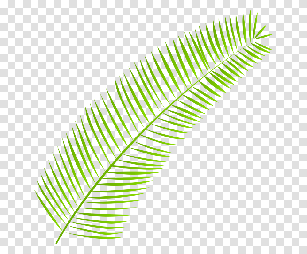 Palm Leaf Clipart Palm Leaves, Plant, Green, Veins, Bird Transparent Png