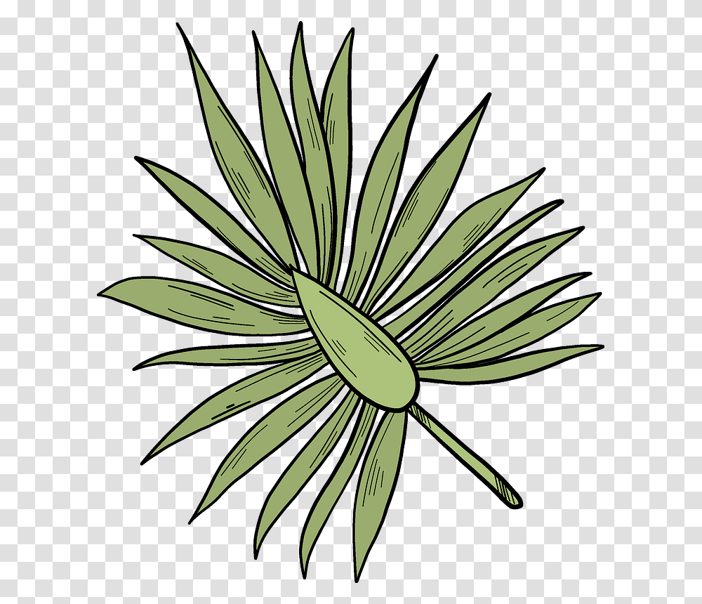 Palm Leaf Clipart, Plant, Bush, Vegetation, Agavaceae Transparent Png