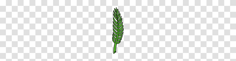 Palm Leaf Clipart, Plant, Fern, Flower, Blossom Transparent Png