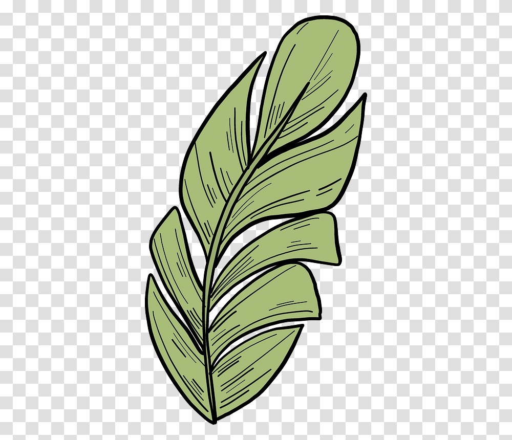 Palm Leaf Clipart, Plant, Pineapple, Fruit, Food Transparent Png