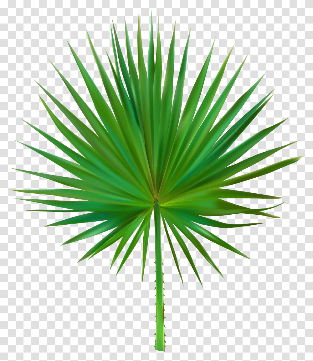 Palm Leaf Download Transparent Png