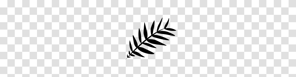 Palm Leaf Icons Noun Project, Gray, World Of Warcraft Transparent Png