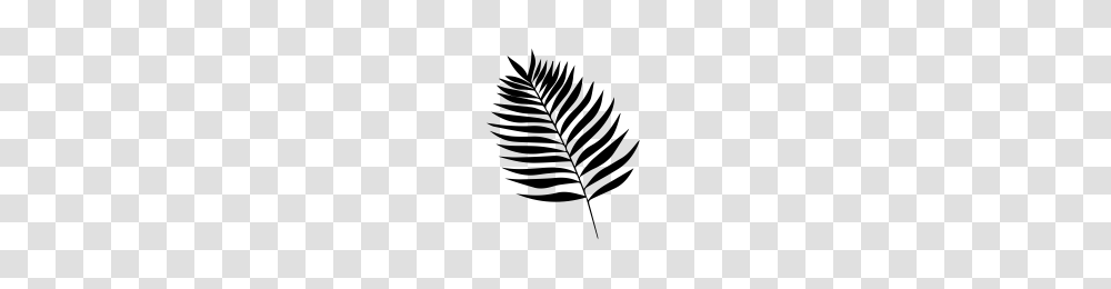 Palm Leaf Icons Noun Project, Gray, World Of Warcraft Transparent Png