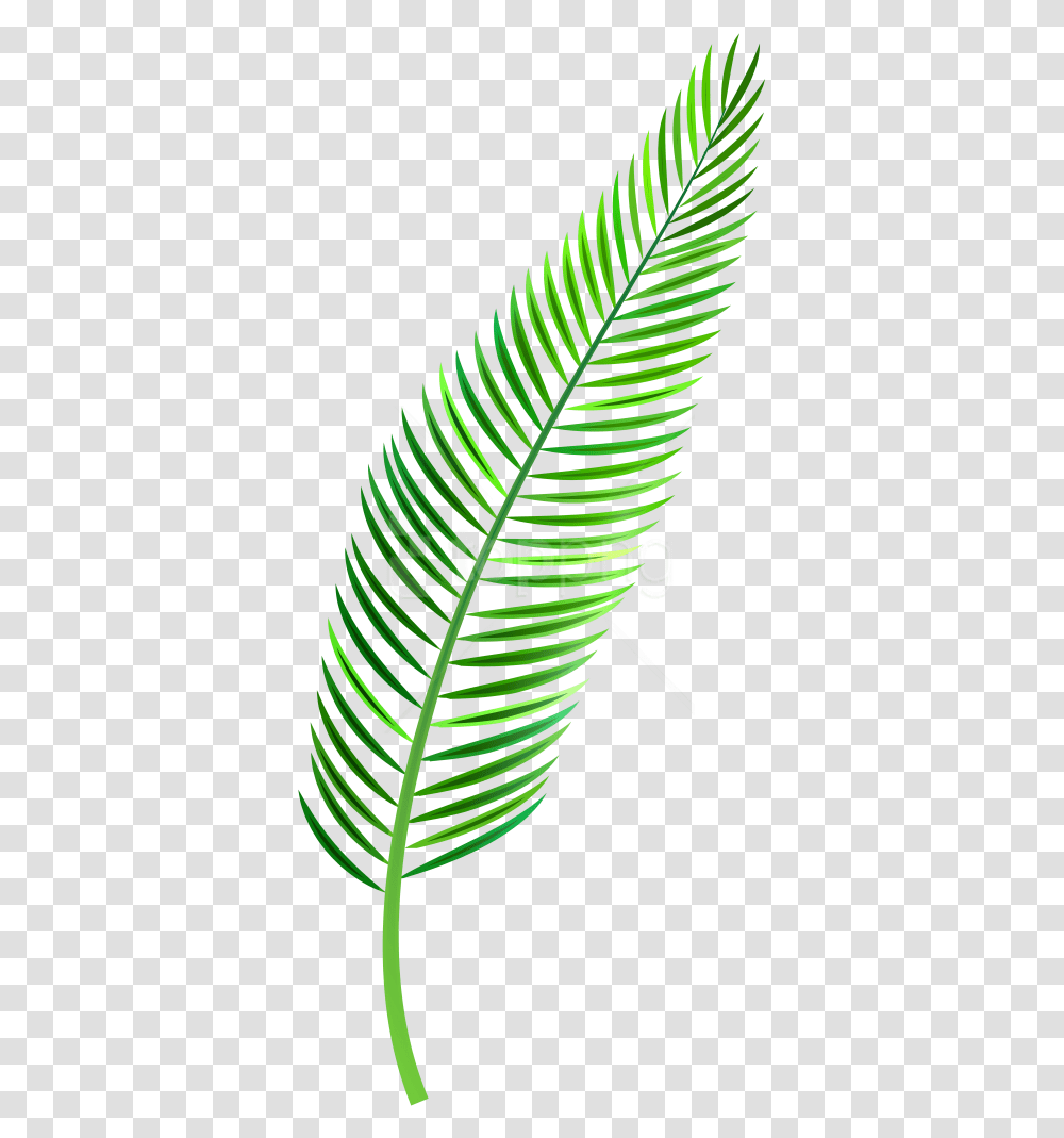 Palm Leaf Images Watercolor Leaf Of Palm, Plant, Green, Graphics, Art Transparent Png