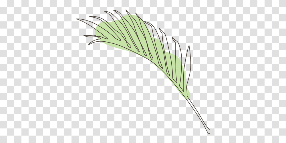 Palm Leaf Line Drawing Design & Svg Vector Leaf Line Drawing, Animal, Plant, Bird, Daisy Transparent Png