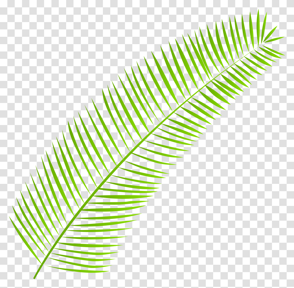 Palm Leaf, Plant, Green, Veins, Texture Transparent Png