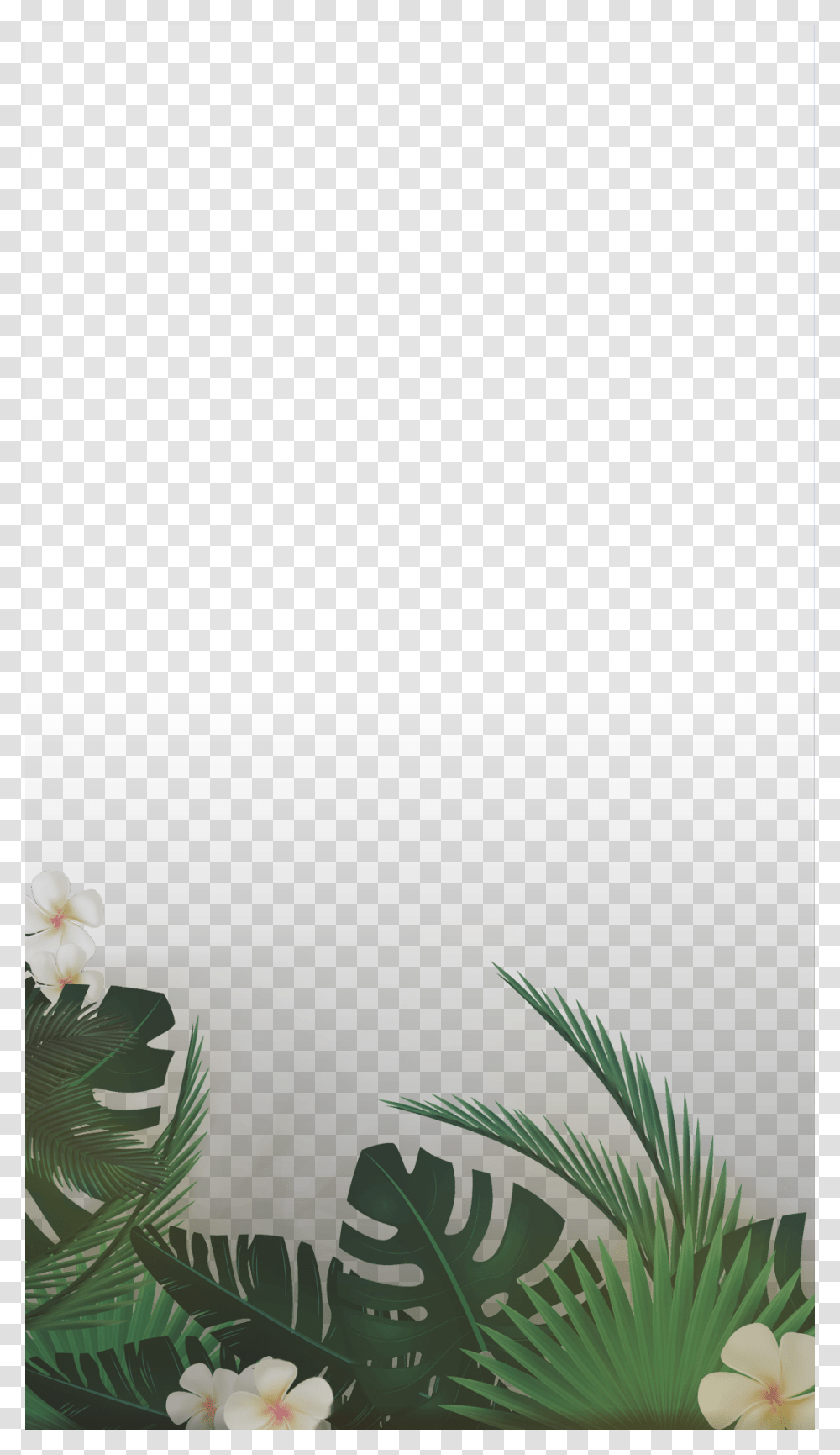Palm Leaf Snapchat Filter, Plant, Flower, Petal, Vegetation Transparent Png