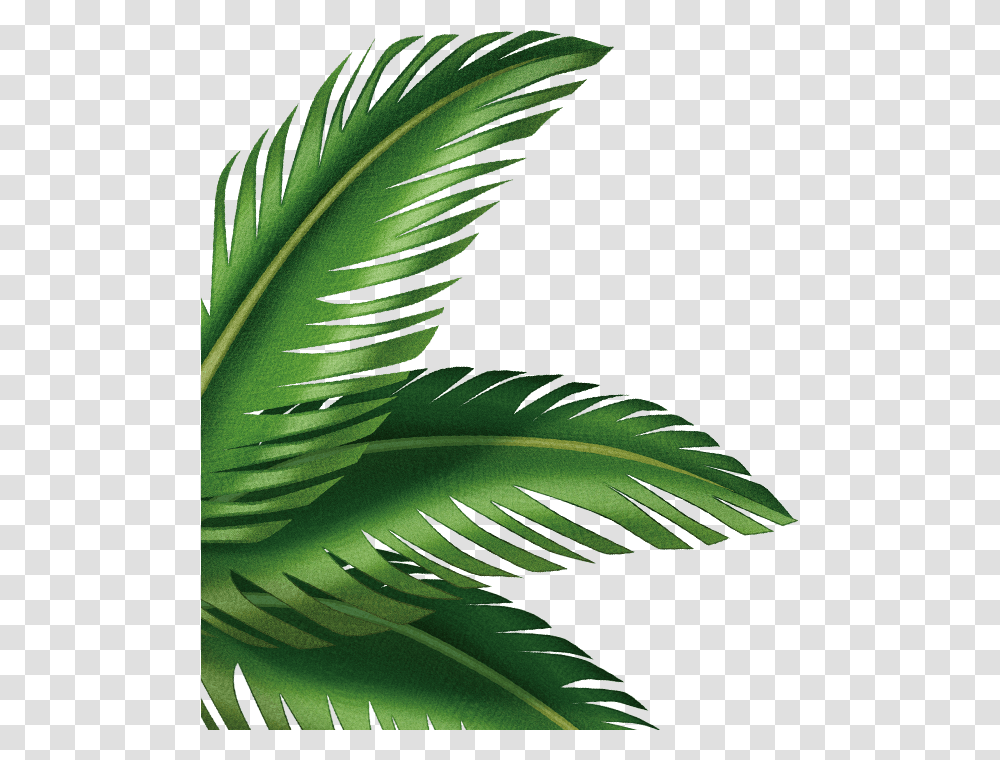 Palm Leaves Background, Green, Leaf, Plant, Bird Transparent Png