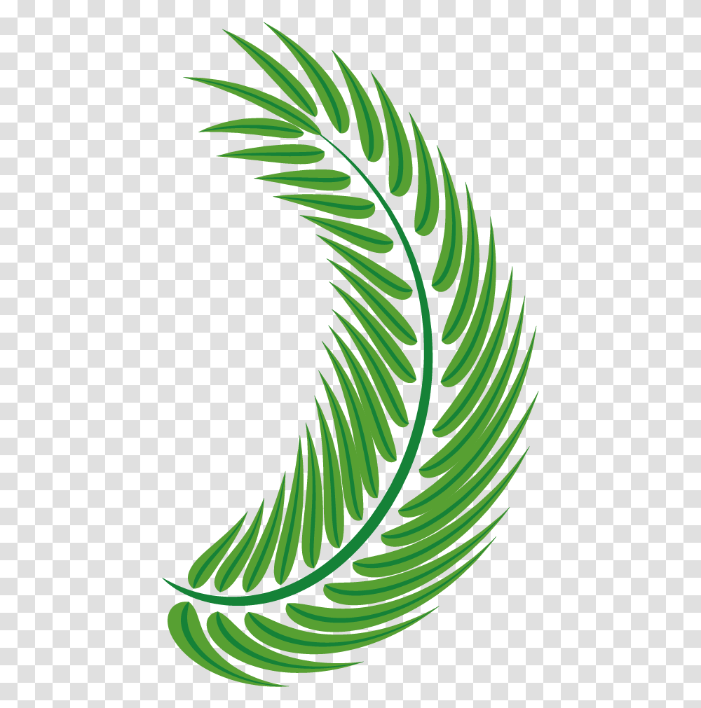 Palm Leaves, Green, Plant, Leaf, Fern Transparent Png