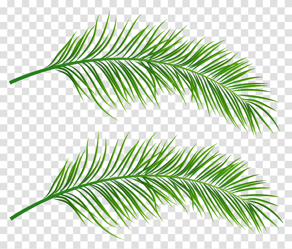 Palm Leaves Palm Leaves Background Transparent Png