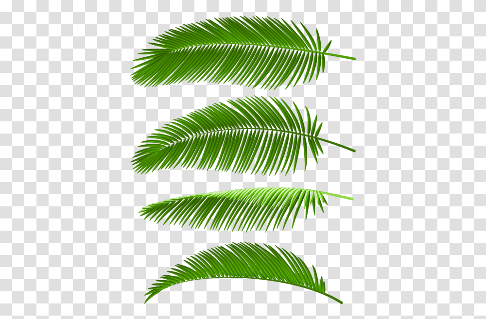 Palm Leaves Set Clip Art Image Coconut Tree Leve, Green, Leaf, Plant, Fern Transparent Png
